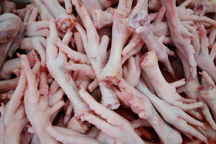 進口白俄羅斯雞爪清關(guān)流程