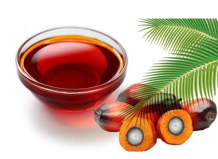 棕櫚油進口報關公司