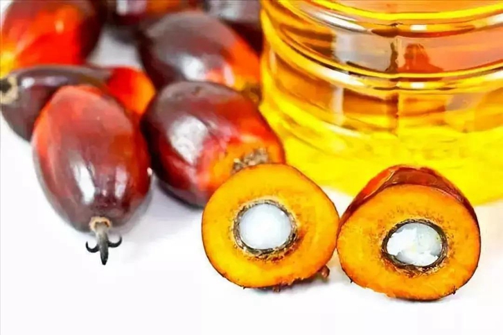 進口印尼棕櫚油報關流程