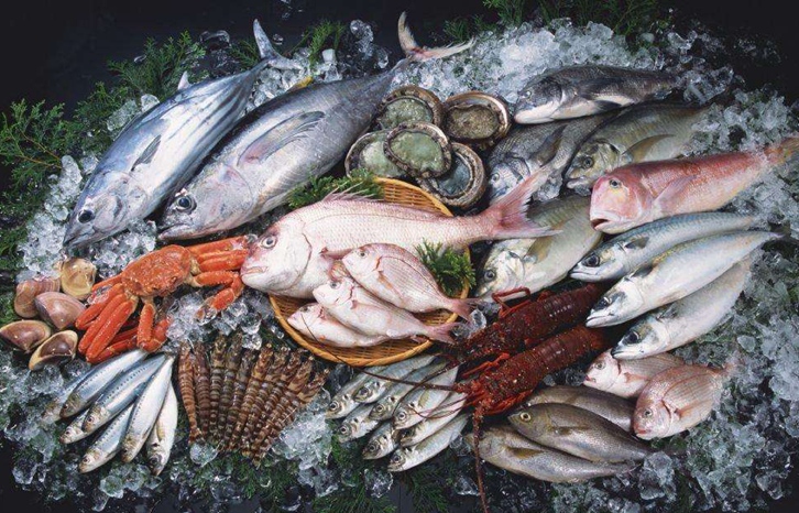 進(jìn)口海鮮報關(guān)流程