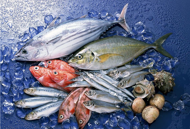 長沙進(jìn)口菲律賓冷凍魚清關(guān)流程