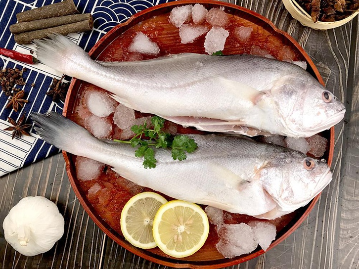 生鮮進(jìn)口報關(guān)代理