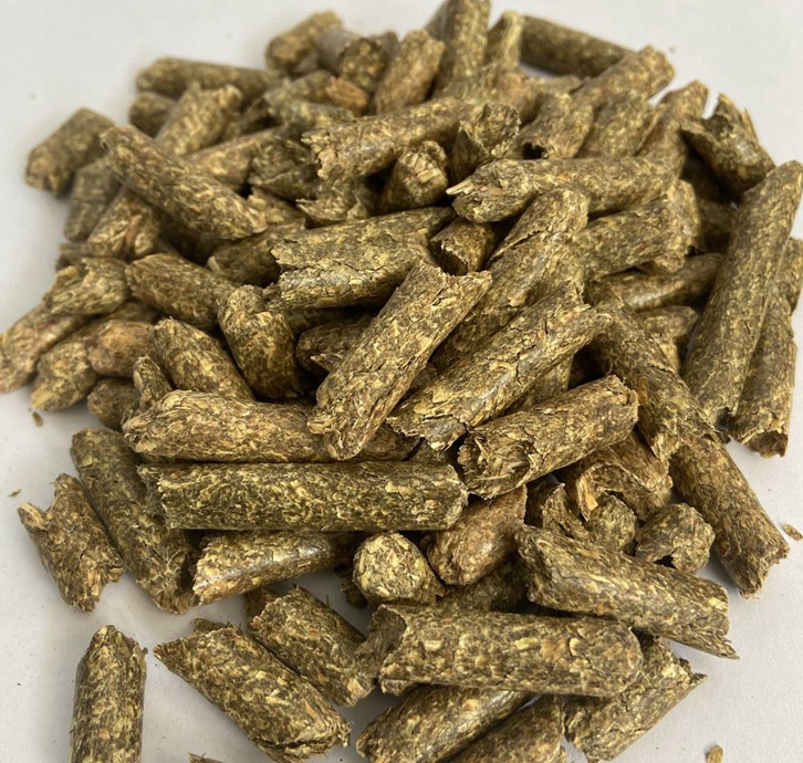 甜菜粕進口報關公司