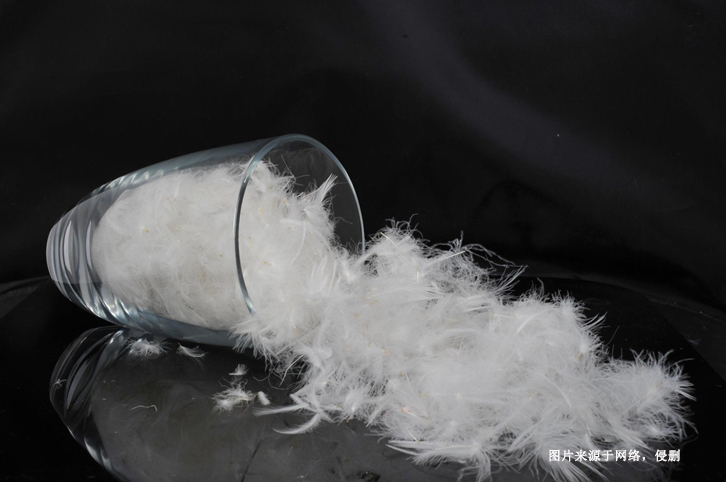 法國水洗羽絨羽毛進(jìn)口報(bào)關(guān)資料