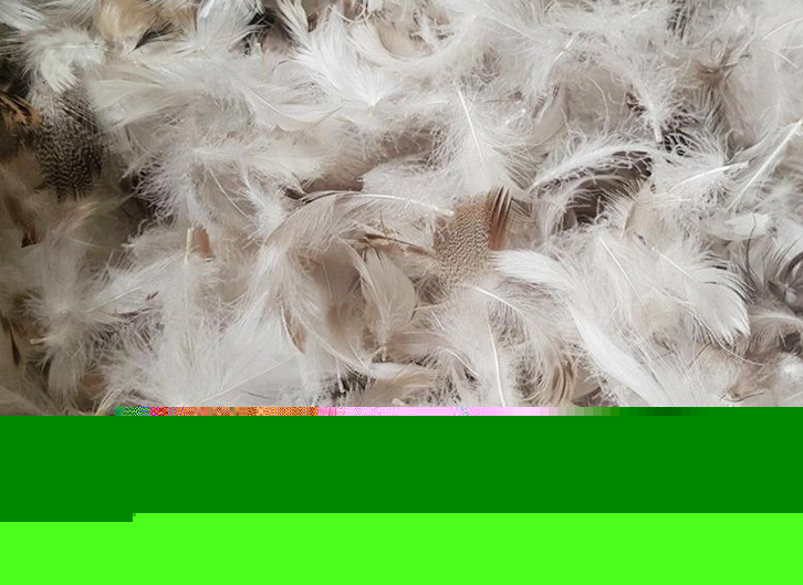 上海進(jìn)口臺(tái)灣鴨毛報(bào)關(guān)流程