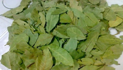 香葉進(jìn)口報關(guān)注意事項(xiàng)有哪些？