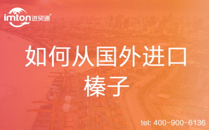 如何從國(guó)外進(jìn)口榛子