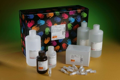 廣州進(jìn)口生物試劑清關(guān)代理流程及所需資料