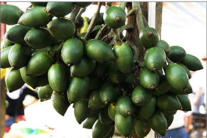 進口檳榔果報關(guān)代理的整體操作方案