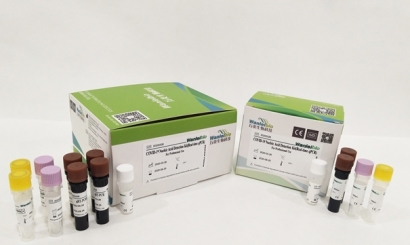 美國進口生物試劑報關常見問題，你要了解的