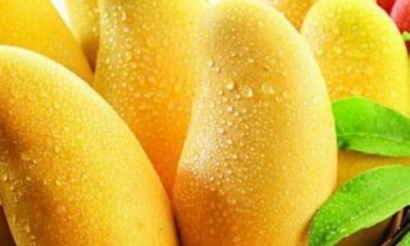 泰國芒果進(jìn)口清關(guān)報(bào)關(guān)代理流程以及需要的單證資料