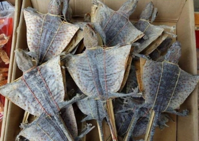 Look!上海港進(jìn)口蛤蚧代理清關(guān)的基本要求