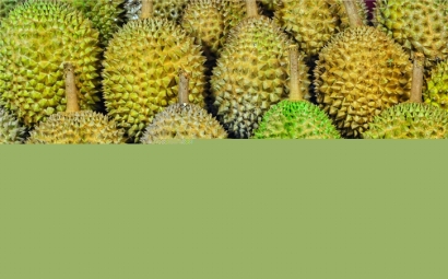 馬來西亞榴蓮進(jìn)口報(bào)關(guān)代理一站式服務(wù)公司-全國(guó)聯(lián)網(wǎng)為您服務(wù)