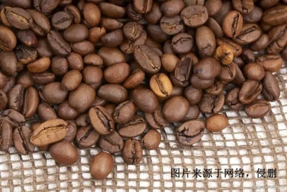 印尼進(jìn)口報(bào)關(guān)行哪家好？印度尼西亞可可豆清關(guān)資料