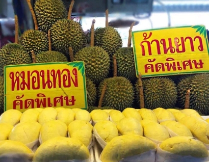 青島進(jìn)口泰國榴蓮報(bào)關(guān)資料這8樣_林查班海運(yùn)專線