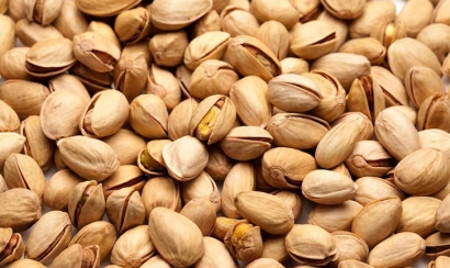 廣州進(jìn)口伊朗開(kāi)心果報(bào)關(guān)流程代理食品到南沙港案例