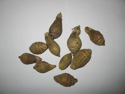 深圳進口印尼檳榔干果報關公司代理預包裝食品案例