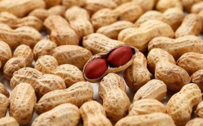 進口大宗農(nóng)產(chǎn)品報關需要了解這些