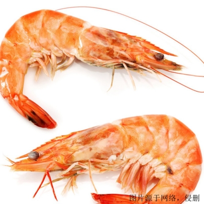 越南北方長額蝦進口報關流程_廣州水產品海運費用