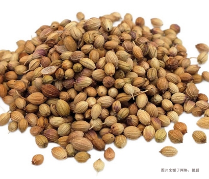 廣州南沙港進(jìn)口印度芫荽子報關(guān)流程_香料通關(guān)要點