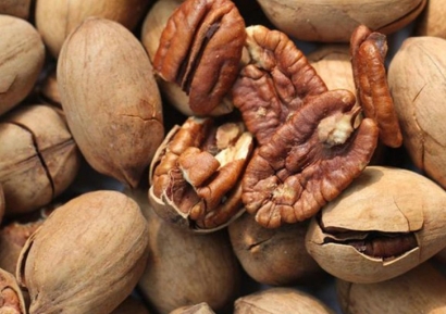 美國山核桃碧根果進(jìn)口清關(guān)資料-廣州堅果報關(guān)行