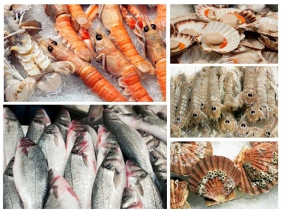 湛江海鮮報(bào)關(guān)公司哪家好_湛江水產(chǎn)品報(bào)關(guān)