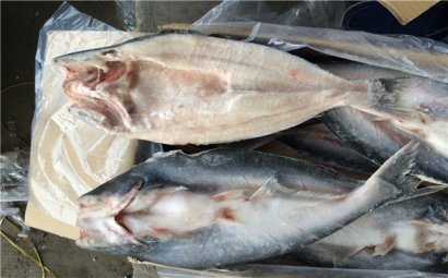 空運海鮮進口報關一般貿易進口需要注意這些，來看看? 