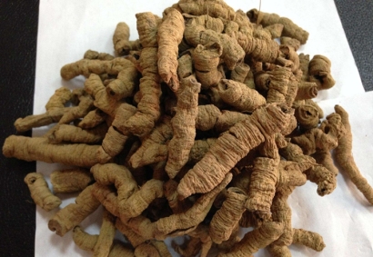 進口藥材巴戟天報關(guān)_阿爾巴尼亞準入藥材有哪些