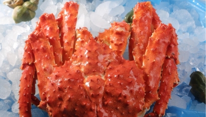 俄羅斯進(jìn)口帝王蟹報關(guān)資料_上海進(jìn)口帝王蟹關(guān)稅