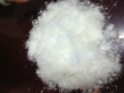 波蘭羽絨進口報關流程_波蘭準入水洗羽絨羽毛企業