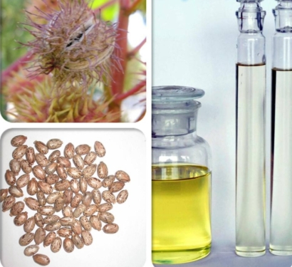 印度蓖麻油進(jìn)口清關(guān)資料_廣州植物油進(jìn)口報(bào)關(guān)難點(diǎn)