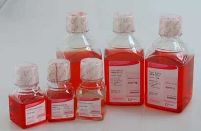 生物原料進(jìn)口報關(guān)資質(zhì)_生物制品進(jìn)口清關(guān)流程