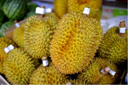 馬來西亞進口榴蓮清關，海關檢驗檢疫要求