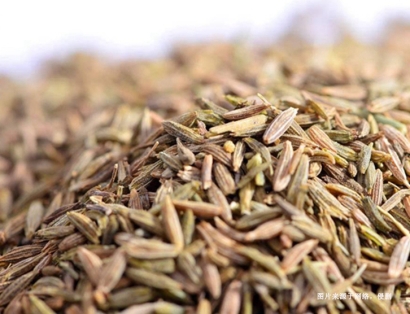 上海枯茗子進(jìn)口清關(guān)流程：如何順利引入國(guó)內(nèi)市場(chǎng)？