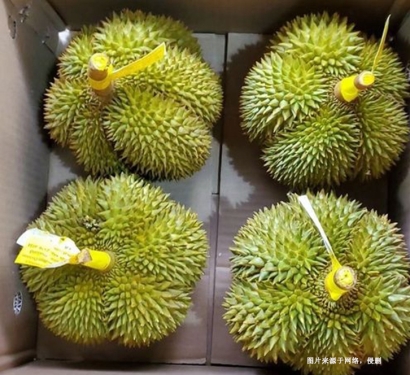 深圳機(jī)場進(jìn)口泰國榴蓮報關(guān)資料-曼谷空運(yùn)門到門