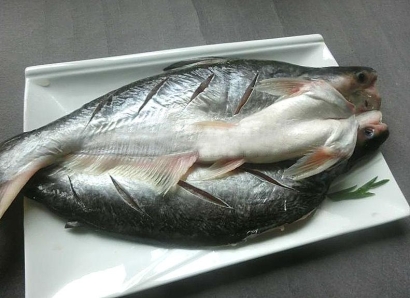 「水產(chǎn)品」越南胡志明到青島巴沙魚進口報關案例