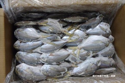 厄瓜多爾冷凍鯧魚進(jìn)口報關(guān)費用到佛山代理水產(chǎn)品案例