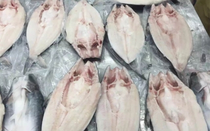 了解！進(jìn)口越南巴沙魚代理報關(guān)報檢流程