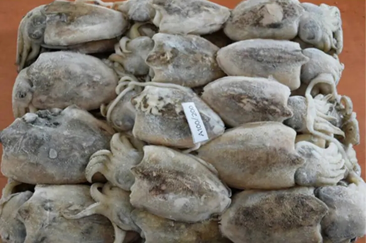 馬來西亞冷凍墨魚進口報關流程 馬來西亞冷凍墨魚進口報關流程