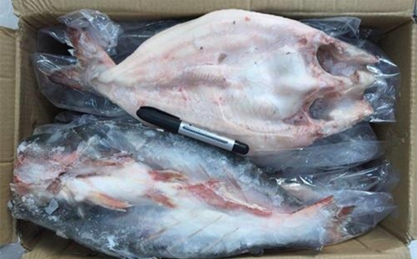 越南冷凍巴沙魚(yú)進(jìn)口報(bào)關(guān) 越南冷凍巴沙魚(yú)進(jìn)口報(bào)關(guān)