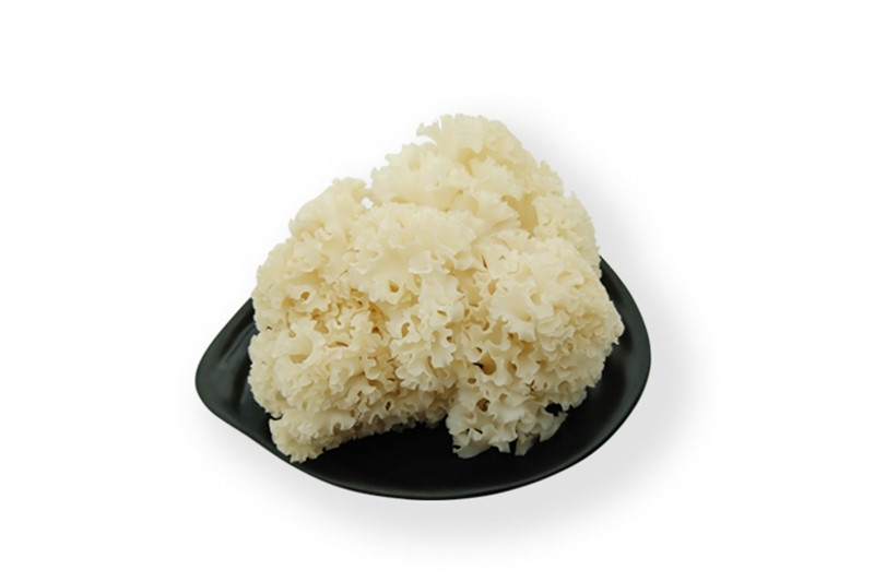 進(jìn)口營養(yǎng)植物報關(guān) 進(jìn)口營養(yǎng)植物報關(guān)