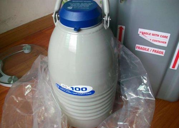 液氮罐進口清關案例分享,急客戶所急 液氮罐進口清關