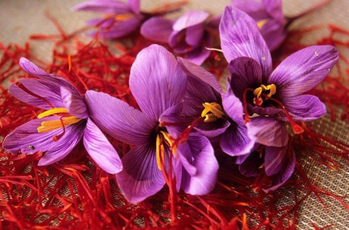 伊朗西紅花進口清關(guān)流程 伊朗西紅花進口清關(guān)流程