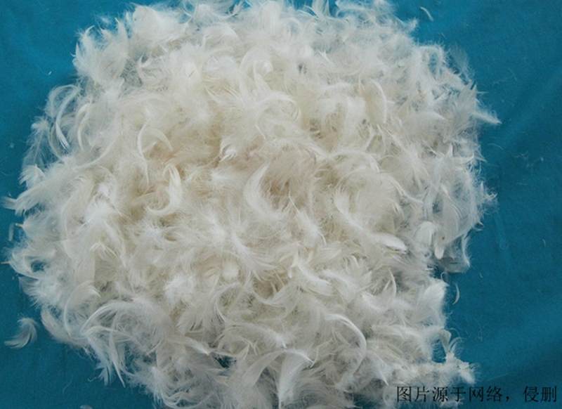 鴨毛進(jìn)口報關(guān)資料 鴨毛進(jìn)口報關(guān)資料