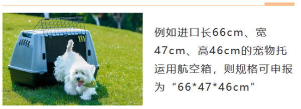 1674902179581934.png 德國(guó)進(jìn)口寵物用品報(bào)關(guān)1_副本.png