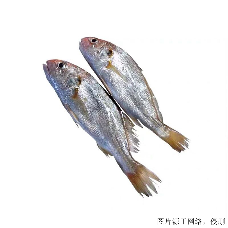 越南白姑魚進口清關流程 越南白姑魚進口清關流程
