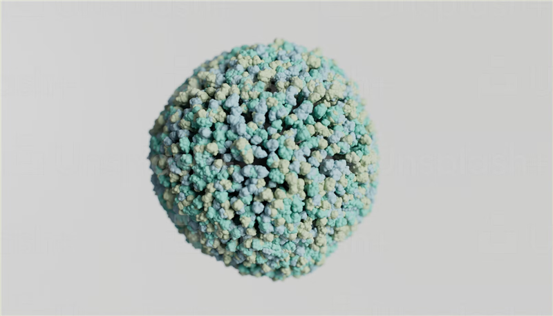 1677151602516365.png 美國細(xì)胞進(jìn)口報(bào)關(guān).png