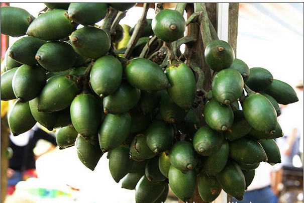 1628852368425413.jpg 進口檳榔果報關代理