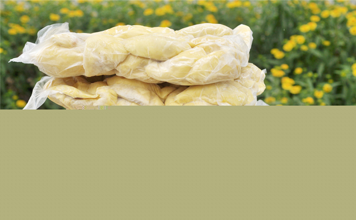 冷凍榴蓮肉進口報關