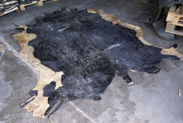 美國牛皮進口報關(guān)費用 美國牛皮進口報關(guān)費用